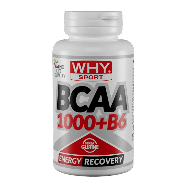 BCAA 1000 + B6 100