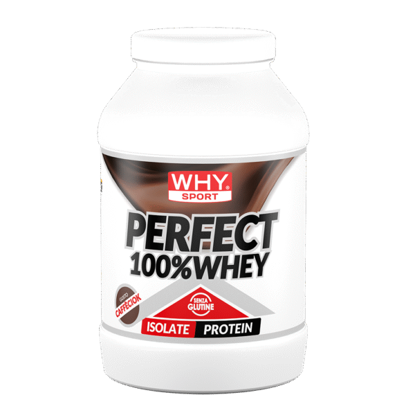 PERFECT 100% WHEY 900 g